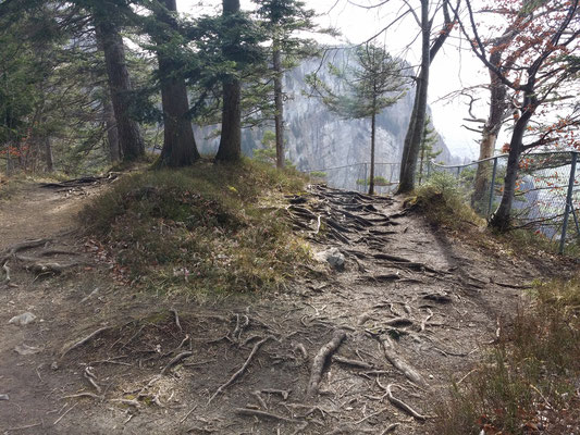 Wanderweg auf dem Karren