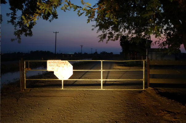 Our gate