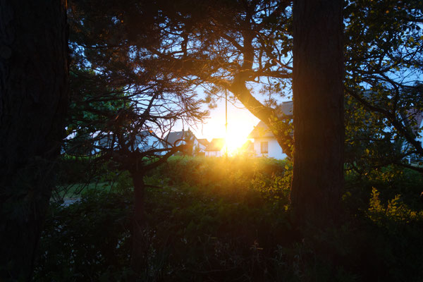 Sonnenuntergang / Sunset
