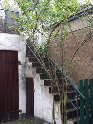 Der alte Hinterhof