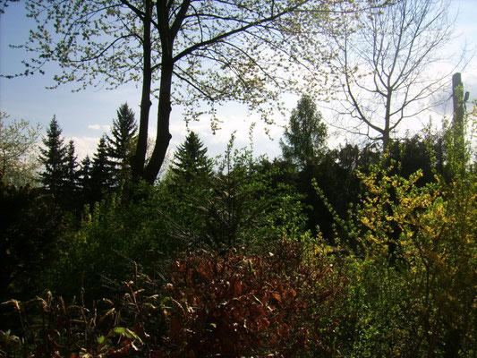 Blick von der Terrasse