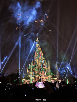 Momentous Nighttime Spectacular