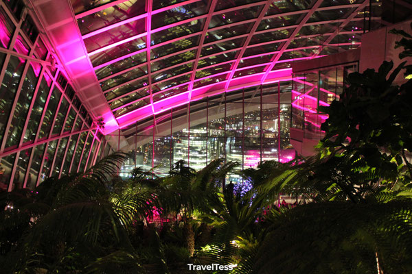 Sky Garden