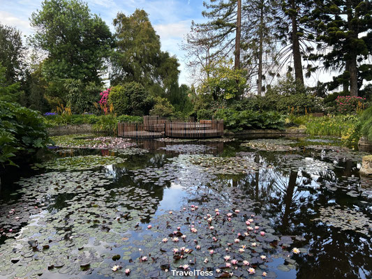 Royal Tasmanian Botanical Gardens