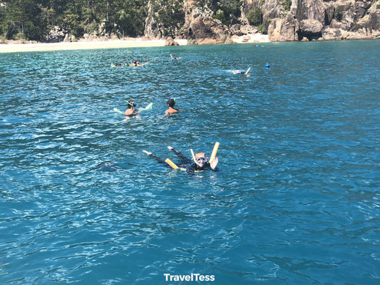 Snorkelen Whitsunday Islands
