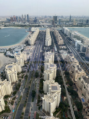 The View At the Palm