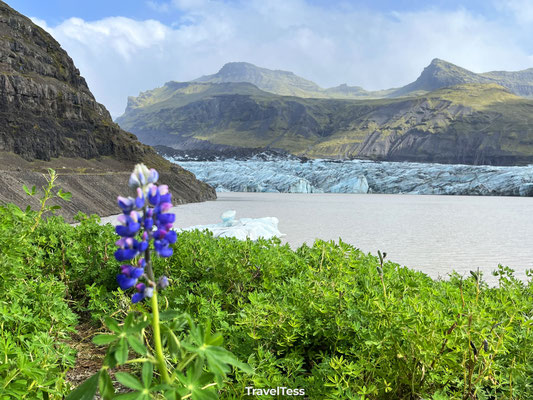 Svínafellsjökull gletsjer