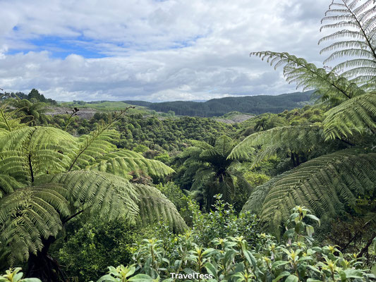 Groene vallei Waimangu Volcanic Valley