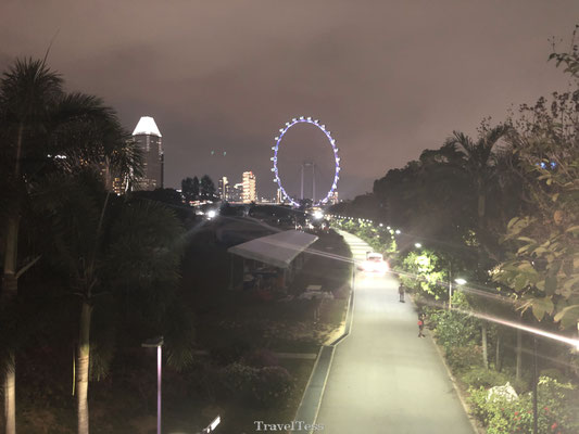 Reuzenrad Singapore