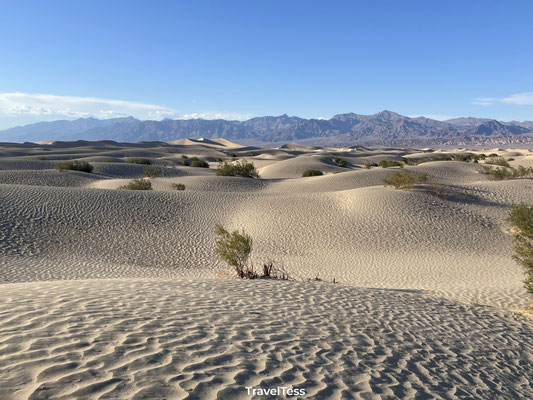 Zandduinen in Death Valley