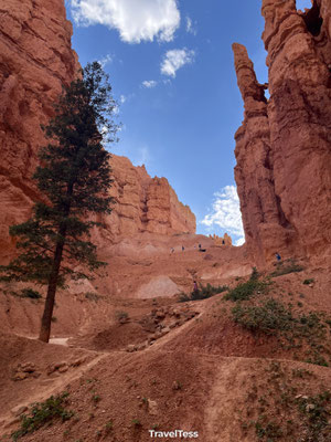 Navajo Loop Trail