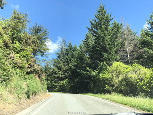 Rijden naar Franz Josef Glacier