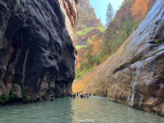 The Narrows in Zion