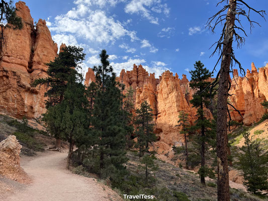 Navajo Loop Trail