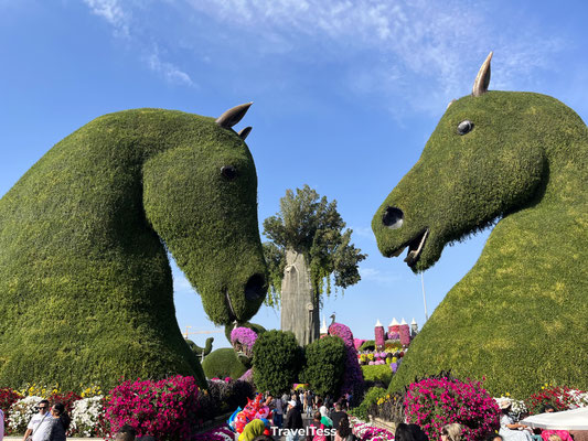 Miracle Garden