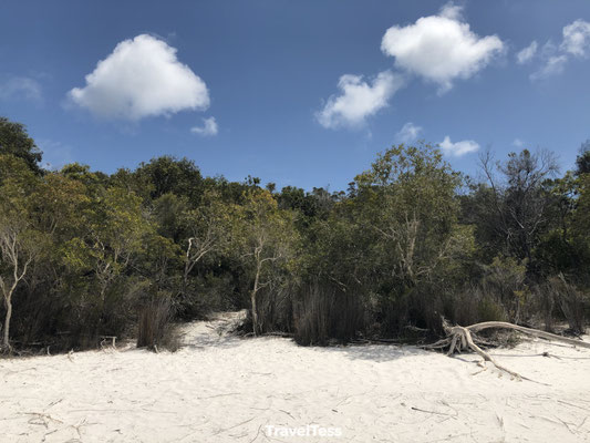 Fraser Island strand