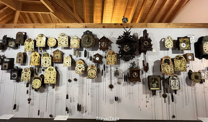 Black Forest Museum