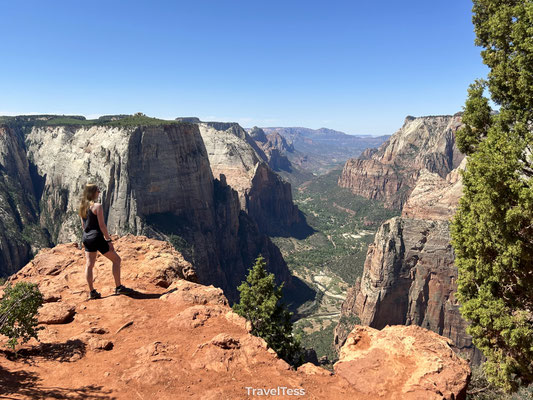 Observation Point Zion