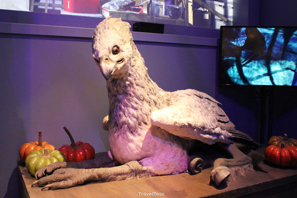 Harry Potter filmstudio
