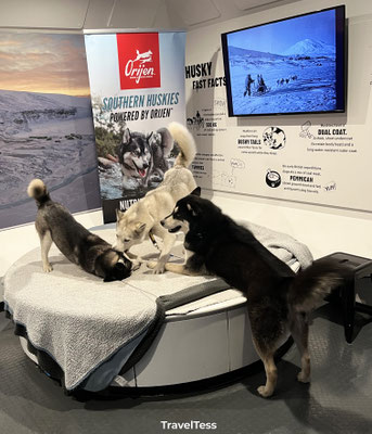Husky presentatie