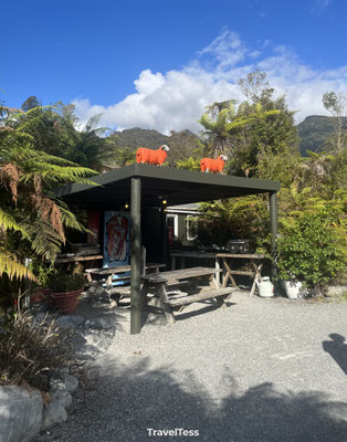 Orange Sheep Camping