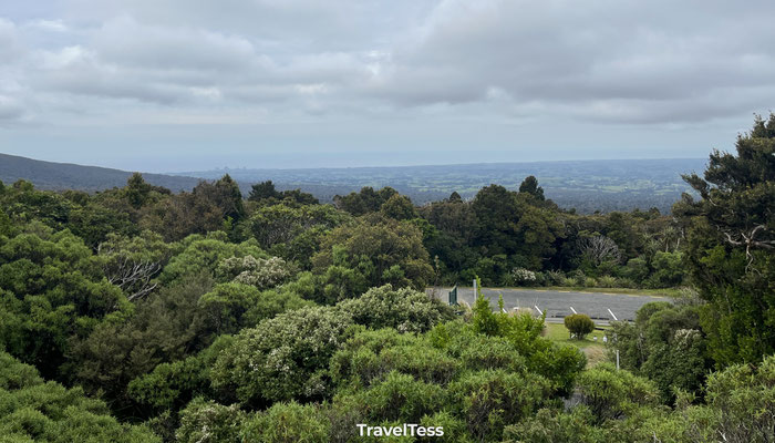 Mount Egmont National Park