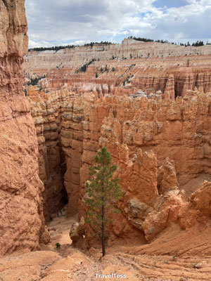 Navajo Loop Trail