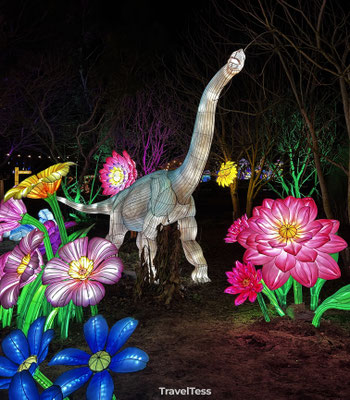 Dino's in Light Safari