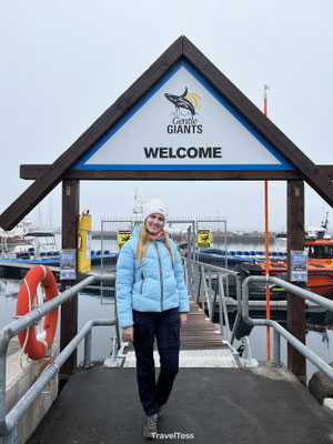 Gentle Giants Whale Watching