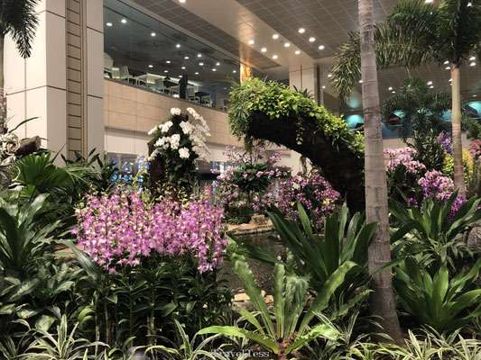 Singapore vliegveld Flower Garden