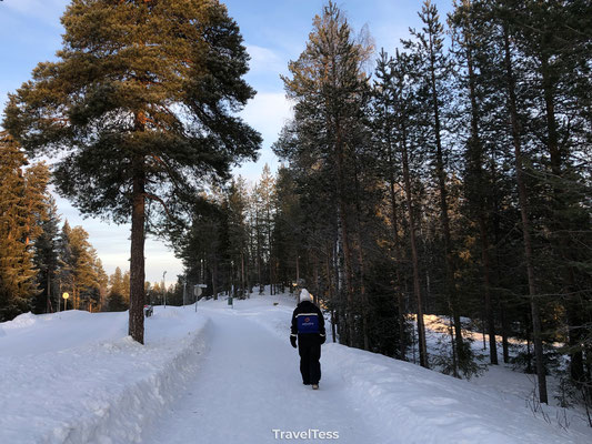 Wandeling door Lapland