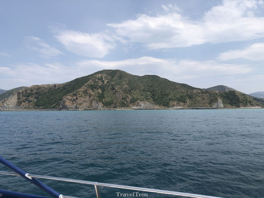 Groene kust van Kaikoura