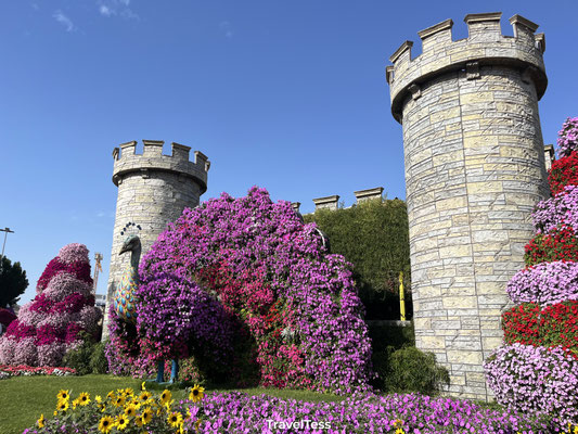 Miracle Garden