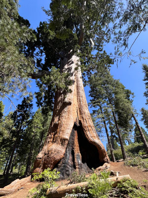Kings Canyon National Park
