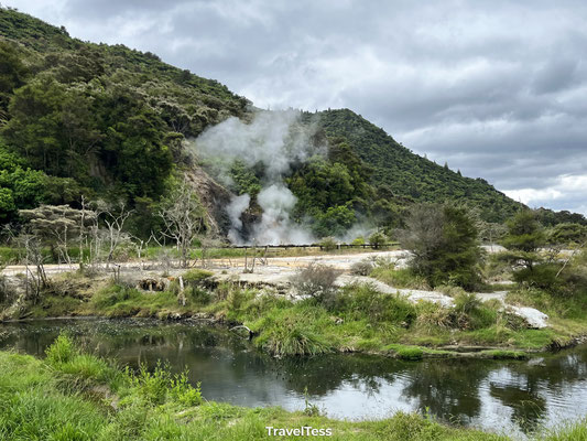 Waimangu Volcanic Valley