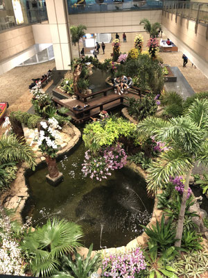 Flower Garden Changi Airport Singapore