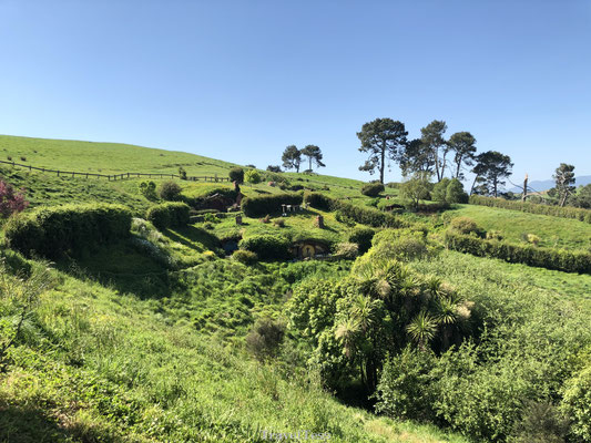 Hobbiton Movie Sets