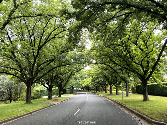 Straatbeeld Canberra