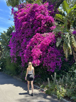 Botanic Gardens Victoria