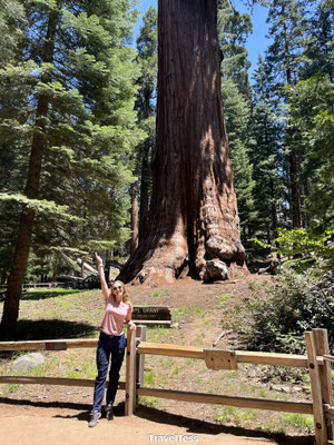 General Grant Tree