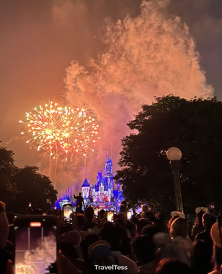 Vuurwerkshow in Disneyland