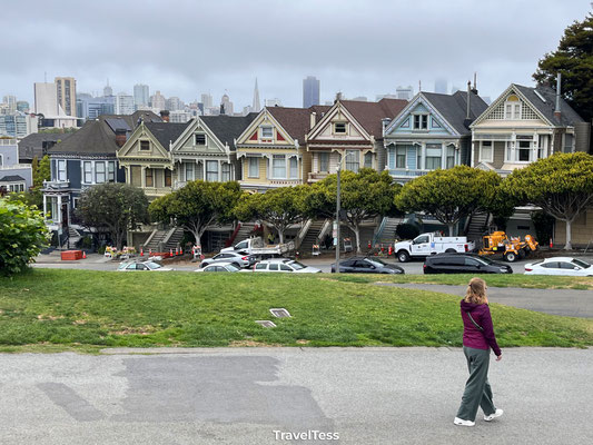 Painted Ladies
