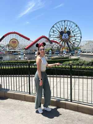 Disney California Adventure Park