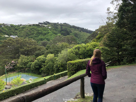 Wellington botanische tuin