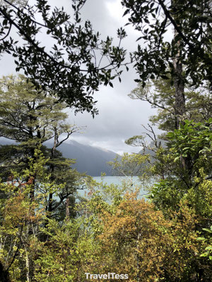 Brunner Peninsula Walk