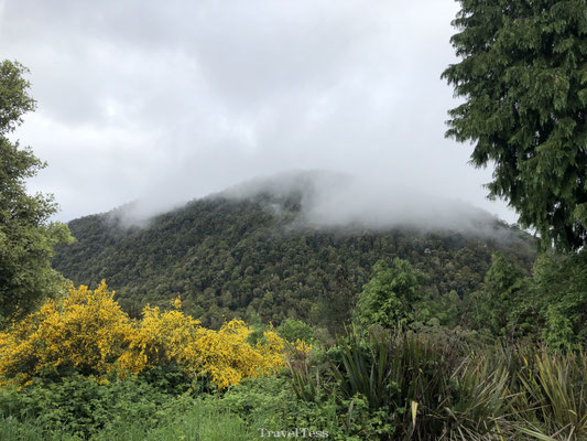 Mist in Franz Josef