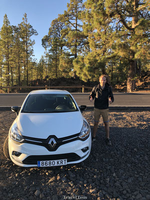 Renault Clio brengt ons overal
