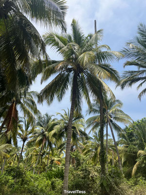 Tayrona National Park