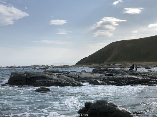 Seal colony Kaikoura bezoeken