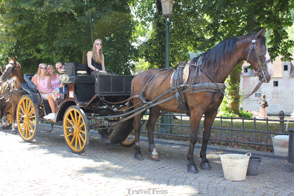 Paardenkoets in Brugge